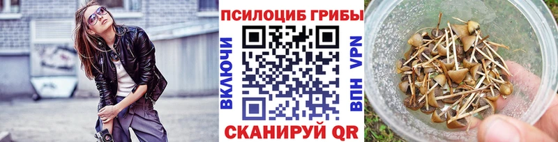 Галлюциногенные грибы Psilocybe  darknet Telegram  Челябинск 