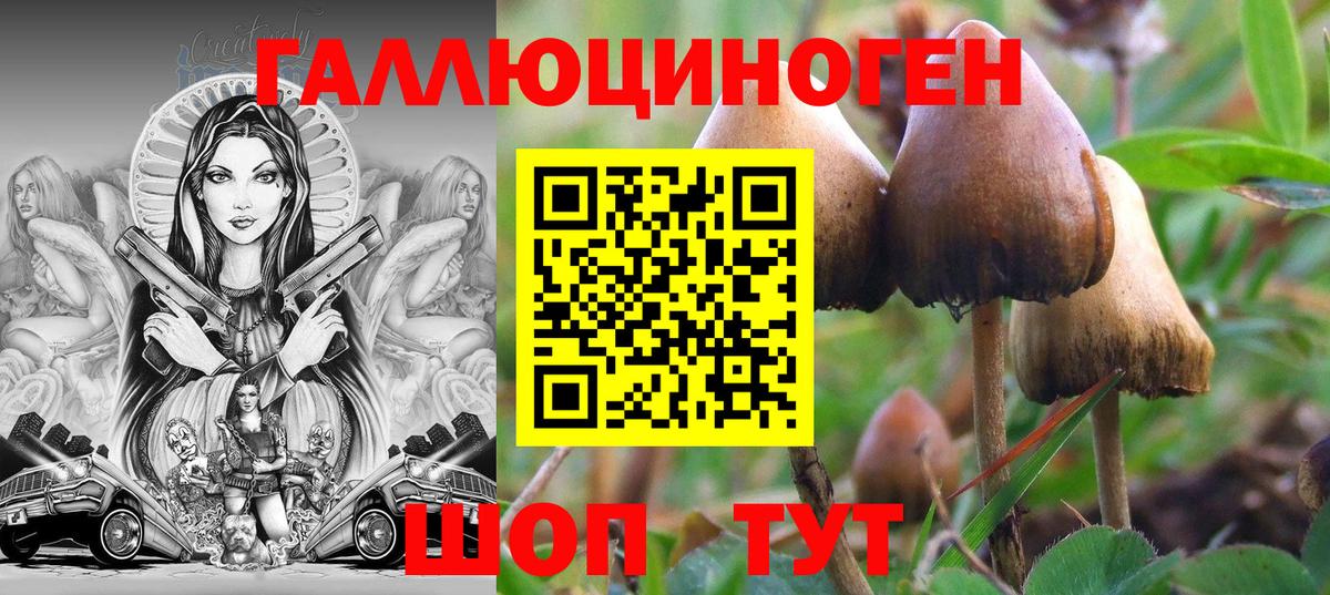 Челябинск  Псилоцибиновые грибы прущие грибы  Вход с VPN  Галлюциногенные грибы Psilocybine cubensis 